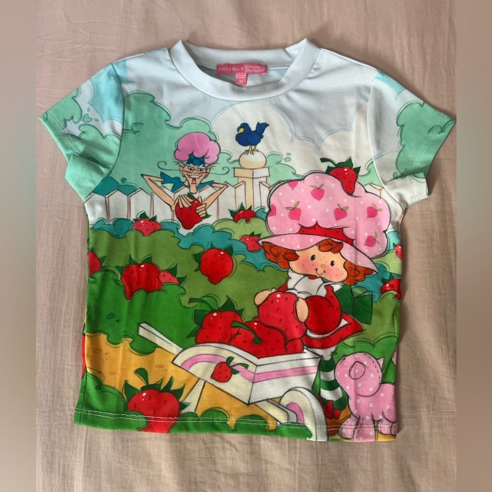 Dolls Kill Strawberry Shortcake baby tee